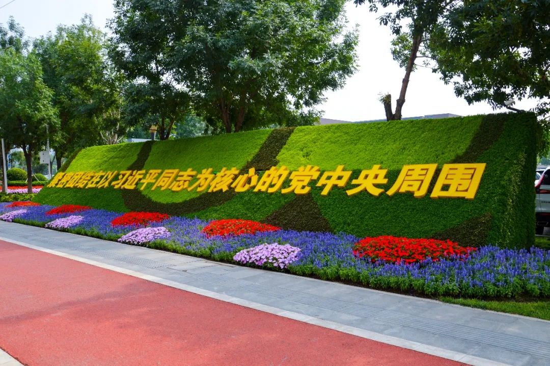 来泰达，感受被花相拥的幸福1.jpg