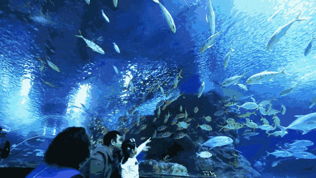 泰达，你好City啊7.gif