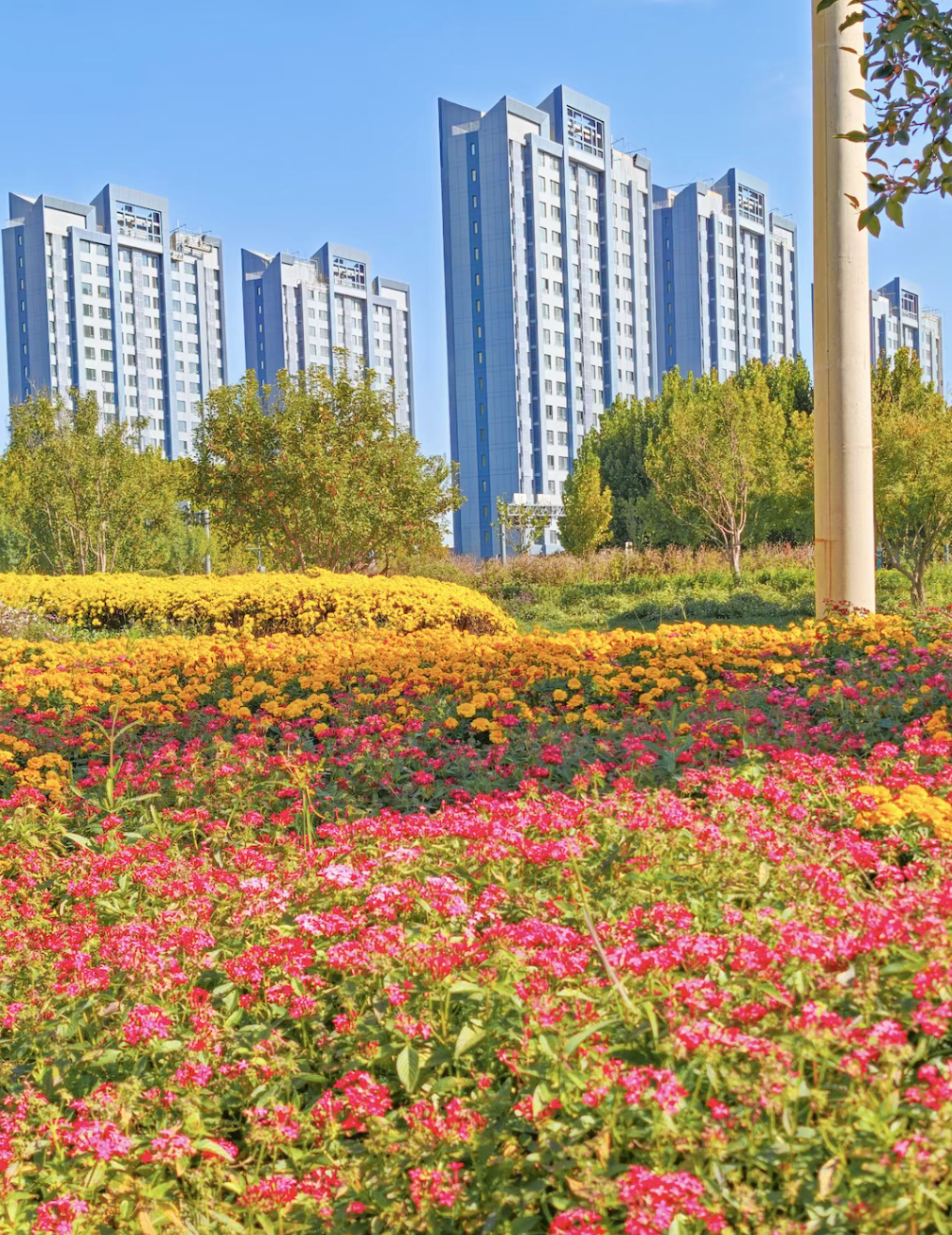 屏幕截图 2025-10-21 092309.png