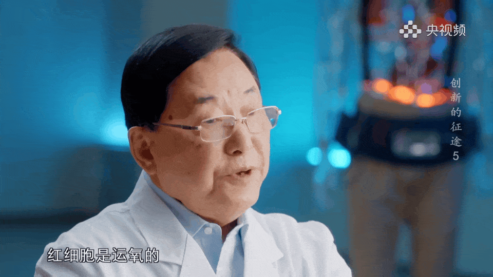6.gif