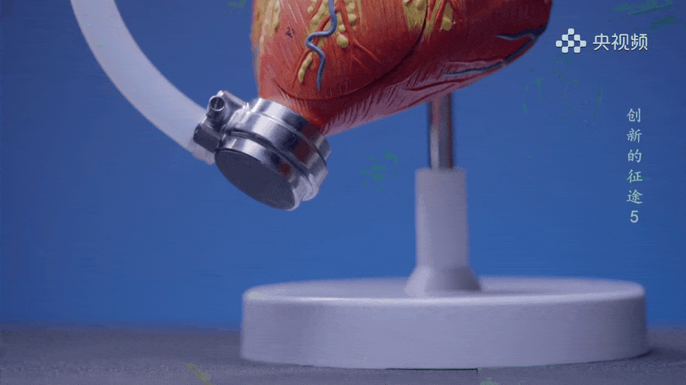 8.gif