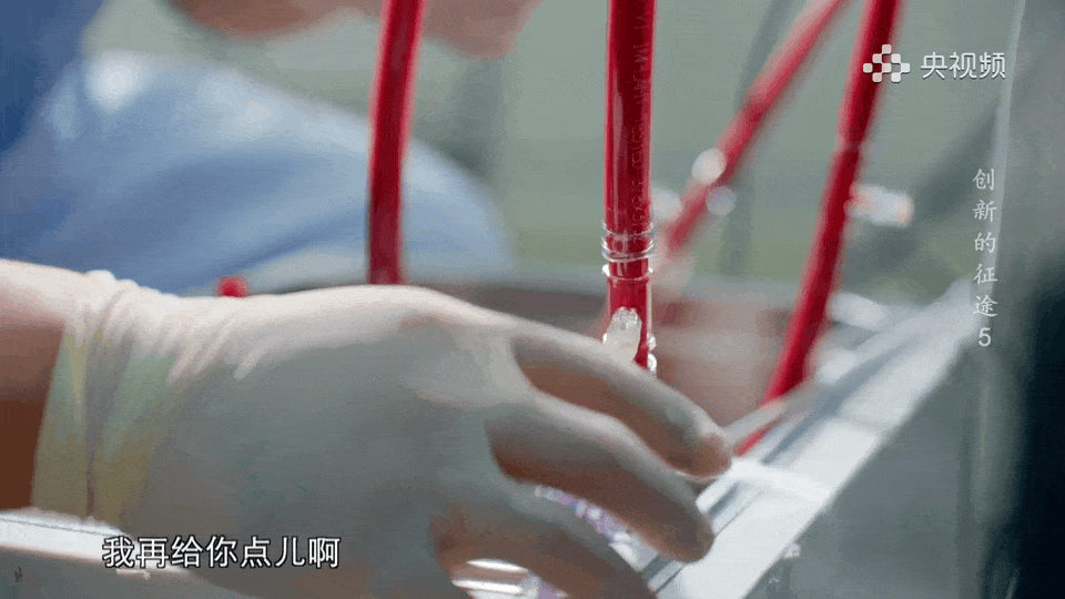7.gif