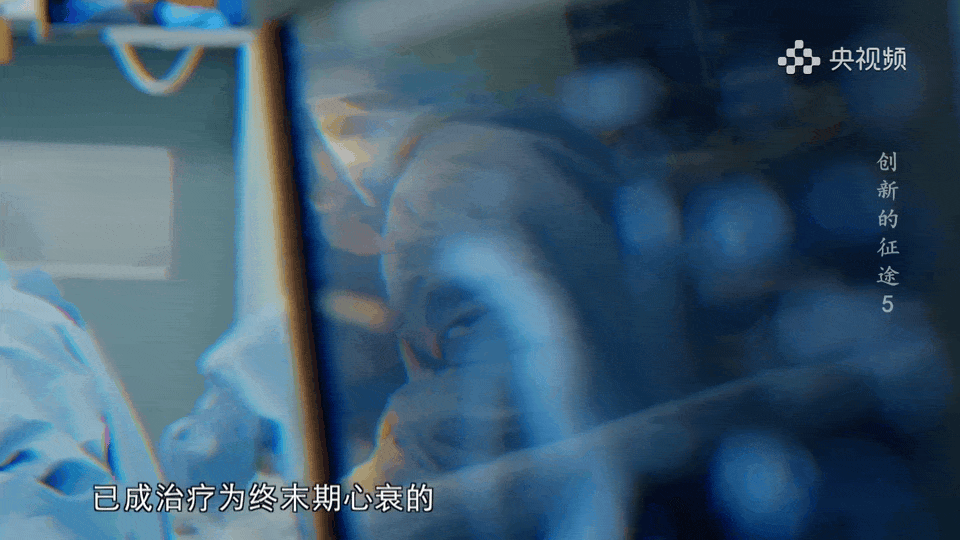 2.gif